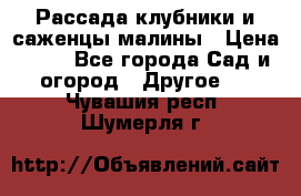 Рассада клубники и саженцы малины › Цена ­ 10 - Все города Сад и огород » Другое   . Чувашия респ.,Шумерля г.